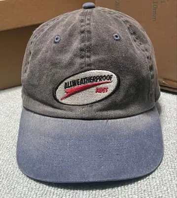 allweatherproof 캡 그레이 6 패널 아리하라 미유키
