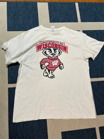 University of Wisconsin T셔츠 구제 의류 빈티지