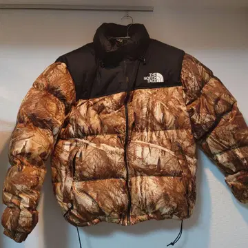 THE NORTH FACE 눕시 다운 자켓