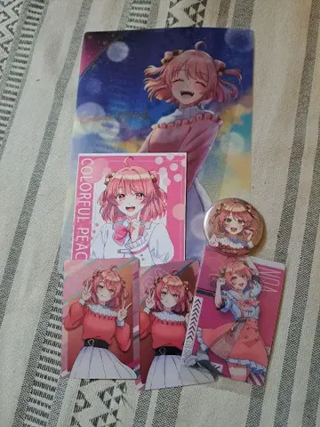 컬러풀 피치 노아 묶음 판매