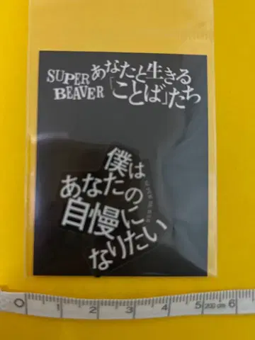 새상품 SUPER BEAVER 스티커 자만하고 싶어