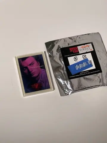 stranger things 아크릴 마그넷 스티브