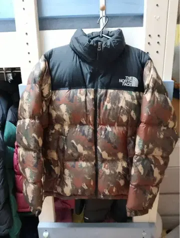 THE NORTH FACE 눕시 다운 자켓