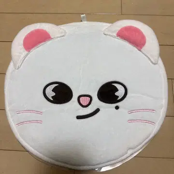 skzoo 지니레트 현진 부채 커버 케이스