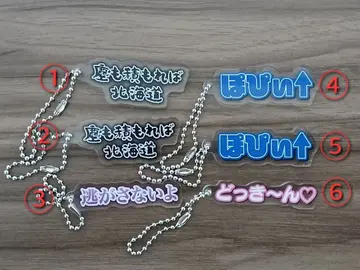 컬러풀 피치 전시회 자막 키링 카라피치