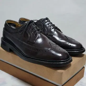 리걸 2589 브라운