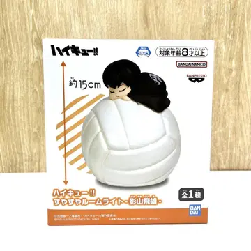 미개봉 새상품 하이큐!! 스야스야 룸 라이트 - 카게야마 토비오 -