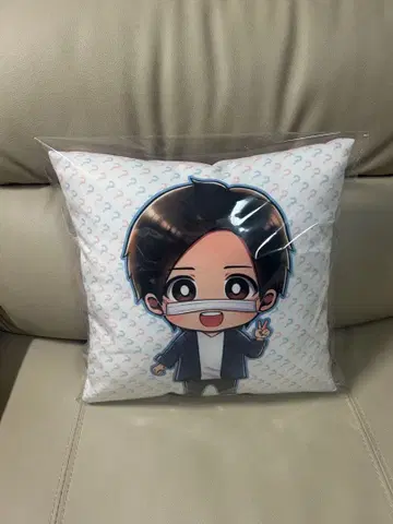 코레코레 x 코레코이 리버서블 쿠션