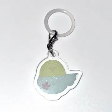 사쿠라자카46 랜덤 메지루시 참 아사이 코노미