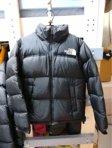 THE NORTH FACE 눕시 다운 자켓