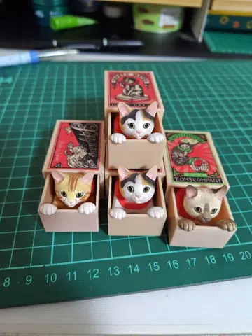 럭키 캣 4체 세트 TOMSCOMPANY