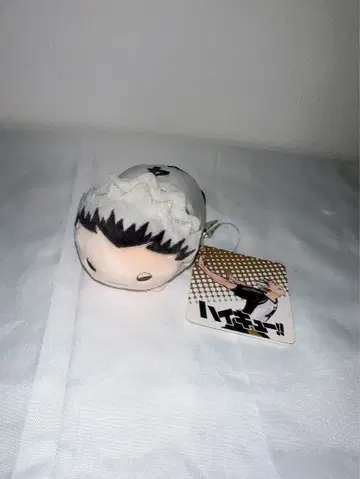 하이큐!! 노루캬라 마스코트 보쿠토 코타로 점프 페스타 2017