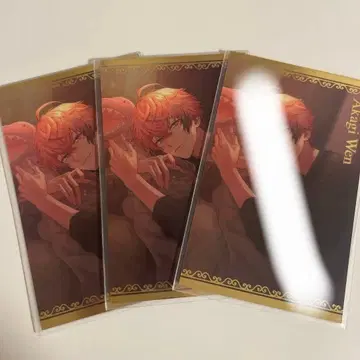 니지산지 비주얼 카드 아카기 웬