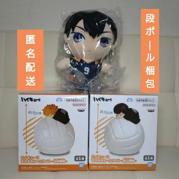 하이큐 스야스야 룸 라이트 히나타 쇼요 카게야마 토비오 B상 누이못치