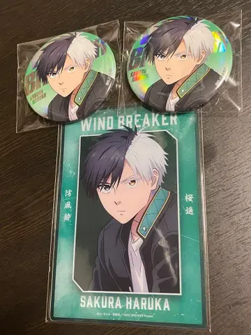 사쿠라 하루카 베이스 야드 세트