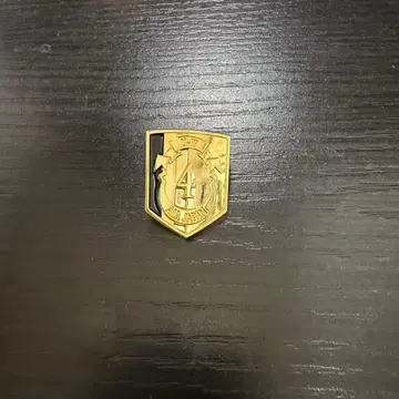 에치젠 료가 도쿠가와 카즈야 대표 핀 배지