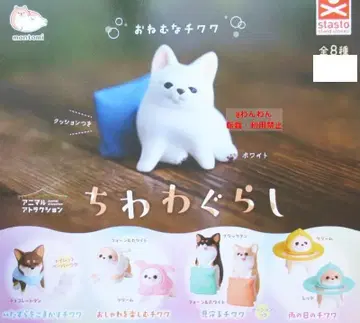 치와와 생활 전 8종 전종 컴플리트 세트 치와와 몬토미