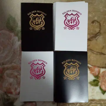 골든 폭격기 폴라로이드 케이스 4개 세트