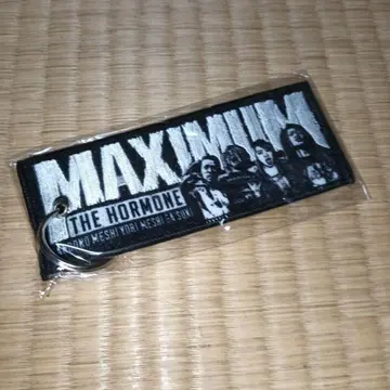 맥시멈 더 호르몬 M.T.F.H. 플라이트 택/키링