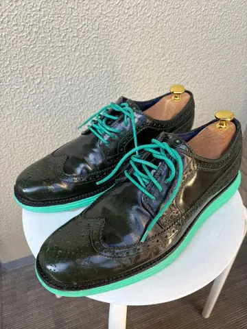 콜한 루나그랜드 윙팁