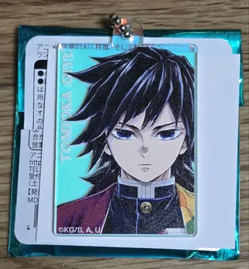 기둥전 랜덤 오로라 참 토미오카 기유