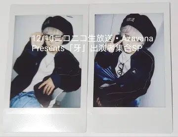 XANVALA 타츠미 폴라로이드 12/10 Azavana 니코나마