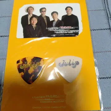 Julip 기타 피크 2개 세트 ~2001년 마음의 여행~