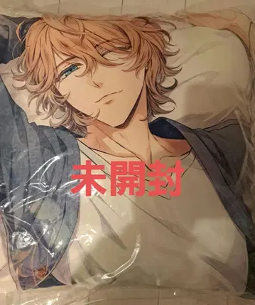 피오피오레의 만종 피오피 니콜라 쿠션 withU 오토메이트