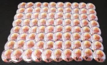 프로세카 앙스타 콜라보 글리터 캔뱃지 텐마 츠카사 80개