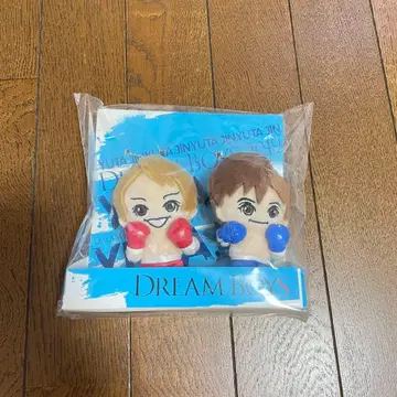 DREAM BOYS 봉제 인형 2체 세트