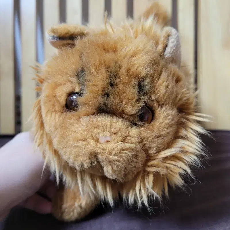 해리포터 크룩생크 고양이 인형