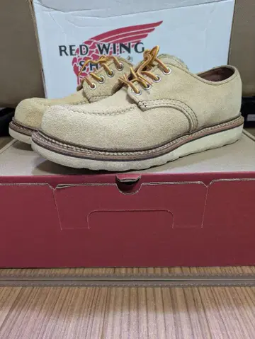 RED WING 숏 베이지 스웨이드 워크 부츠