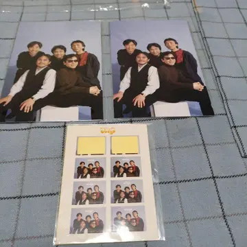 튤립 포트레이트와 씰 세트 마법의 역사 투어 1997