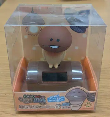 흔들흔들 솔라 나메코 만지작 탐정 나메코 재배 키트