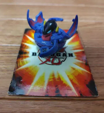 바쿠간 소환 바쿠간 등 6세트