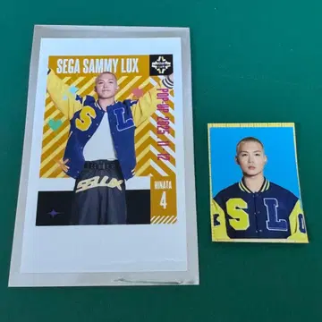 D리그 SEGASAMMYLUX 폴라로이드풍 사진 증명사진 HINATA