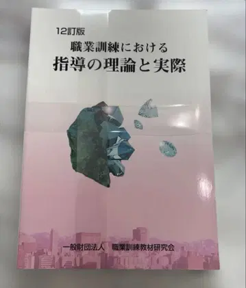 직업 훈련에서의 지도 이론과 실제 12개정판