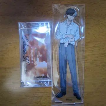 윈브레 벚꽃 하루카 Big 아크릴 스탠드