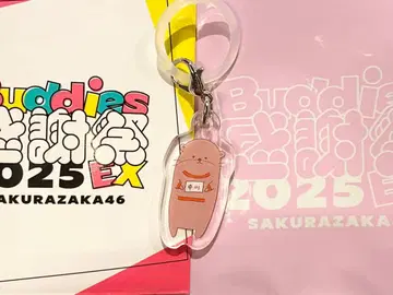 사쿠라자카46 나카가와 치히로 참 개봉품