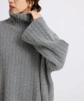 이에나 와이드 리브 BIG 풀오버 새상품