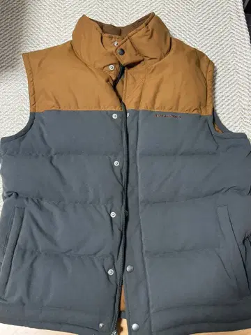 파타고니아 다운 베스트