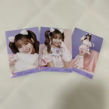 =LOVE 이코러브 오바 하나나 브로마이드 고양이 의상 컴프