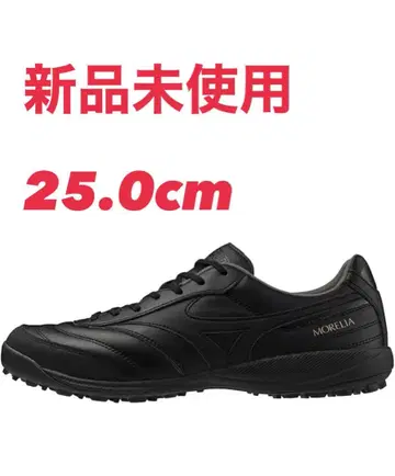 Mizuno 모렐리아 pro tf 25.0 블랙