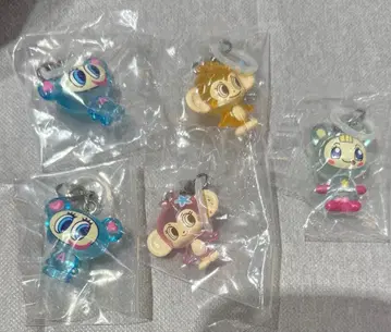 나루미야 캐릭터 메지루시 액세서리 나카무라 군 블루베리 짱