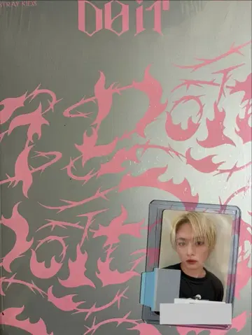 straykids DO IT 일반ver IT ver +소니뮤직 혜택 리노