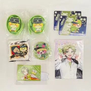 컬러풀 피치 카라피치 시바