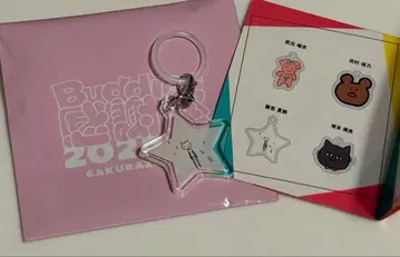 메지루시 참 사쿠라자카46 후지요시 카린