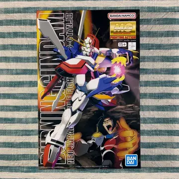 MG 건담 프라모델 [ MG 1/100 G 건담 ] 익명 배송