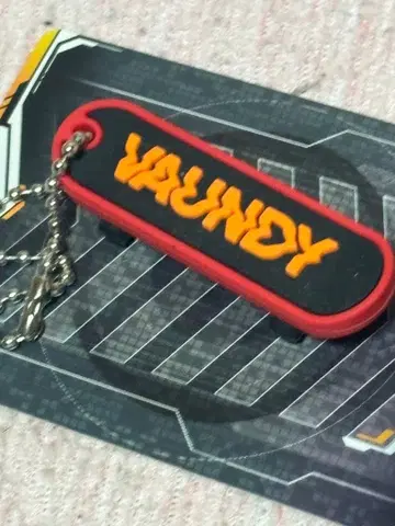 VAUNDY 키링 캡슐 토이