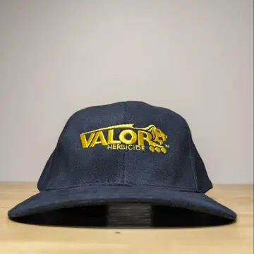 90s 데드스탁 VALOR 수베니어 캡 기업 로고